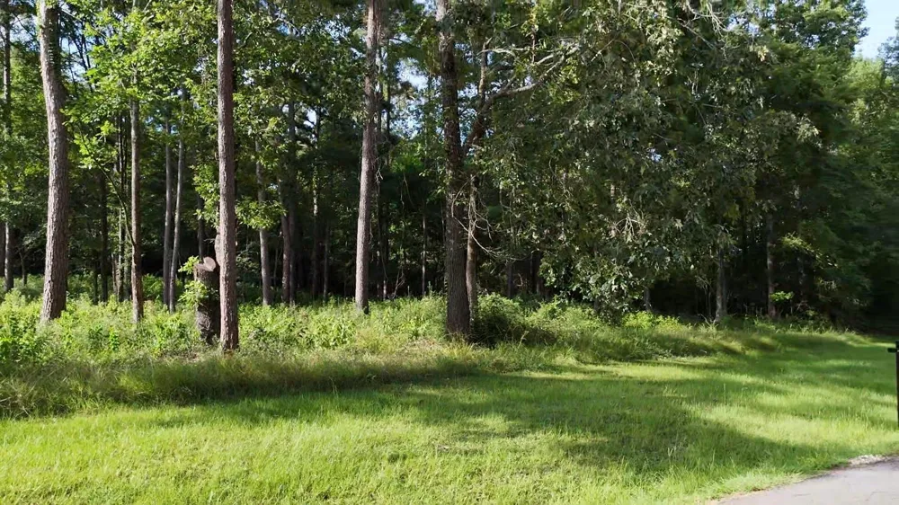 35 Naples Way Huntsville, TX 77320