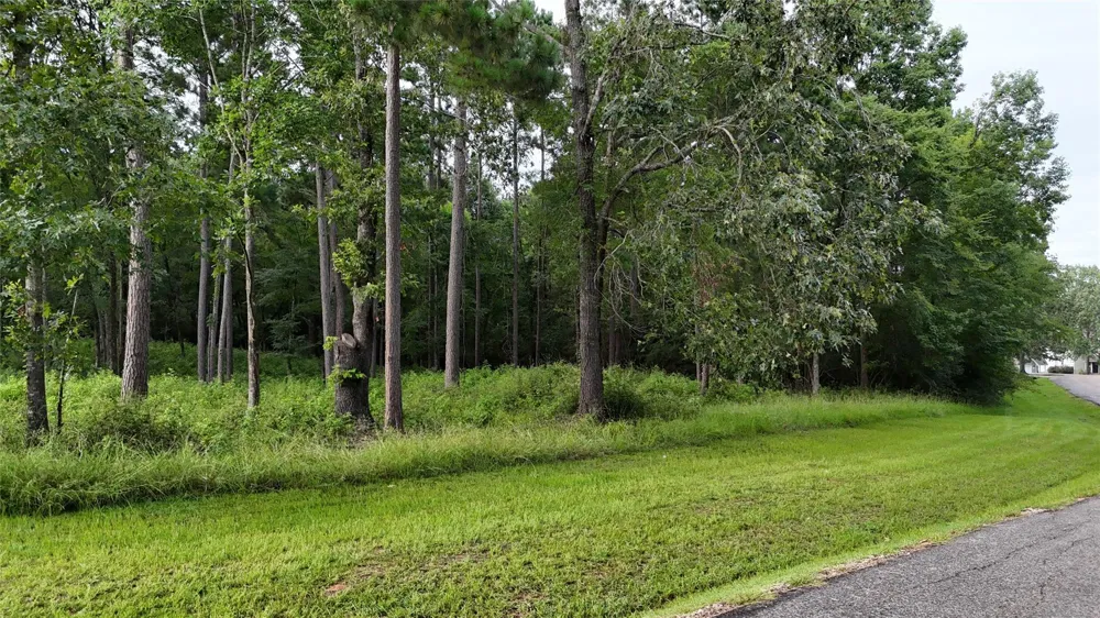 35 Naples Way Huntsville, TX 77320