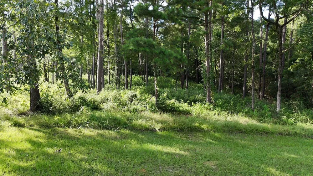 35 Naples Way Huntsville, TX 77320
