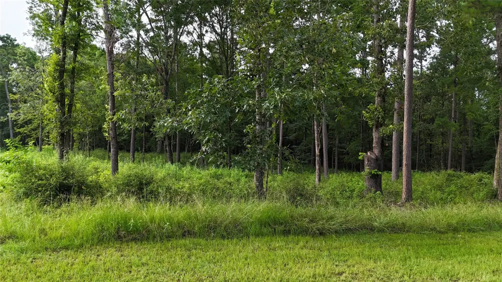 35 Naples Way Huntsville, TX 77320