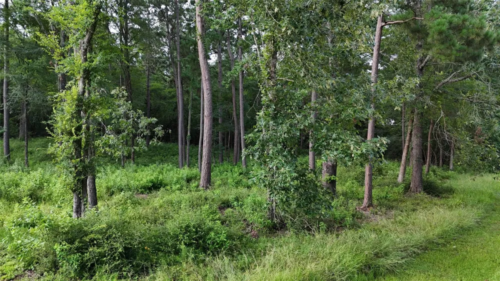 35 Naples Way Huntsville, TX 77320