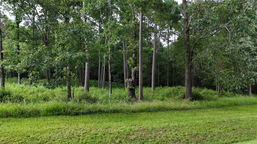 35 Naples Way Huntsville, TX 77320