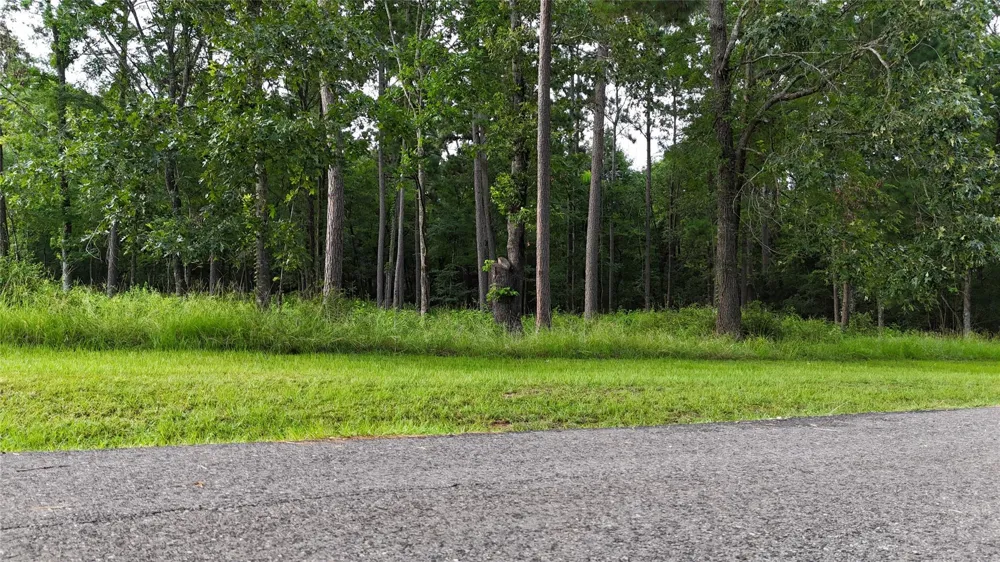 35 Naples Way Huntsville, TX 77320