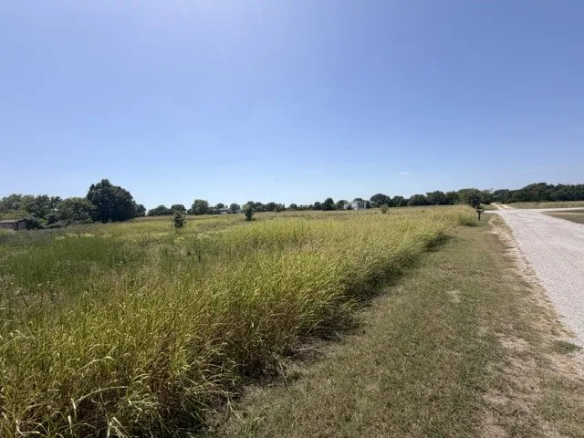 Cypress Avenue Burneyville, OK 73430