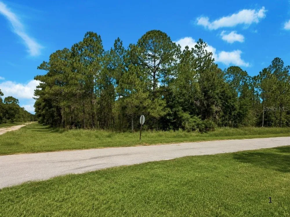 3250 PLUMOSA DRIVE Indian Lake Estates, FL 33855