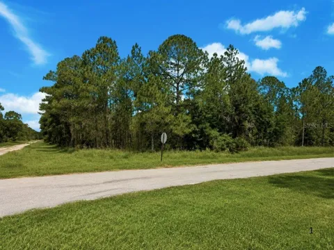 3250 PLUMOSA DRIVE
