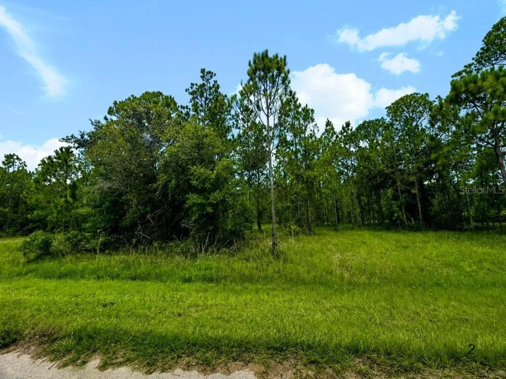 3250 PLUMOSA DRIVE Indian Lake Estates, FL 33855