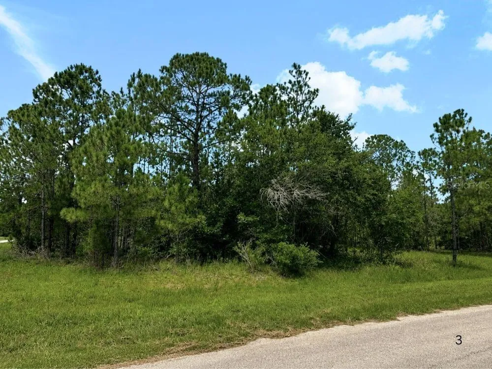 3250 PLUMOSA DRIVE Indian Lake Estates, FL 33855