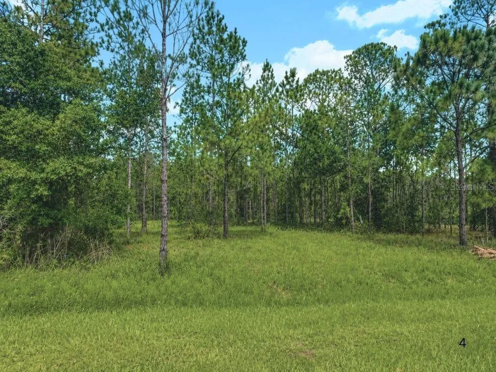 3250 PLUMOSA DRIVE Indian Lake Estates, FL 33855