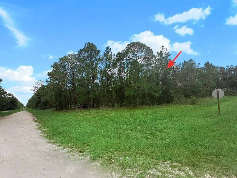 3250 PLUMOSA DRIVE Indian Lake Estates, FL 33855