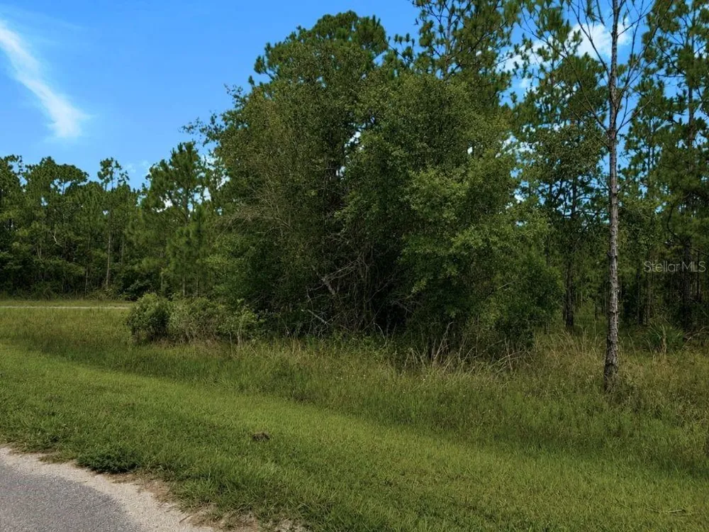 3250 PLUMOSA DRIVE Indian Lake Estates, FL 33855