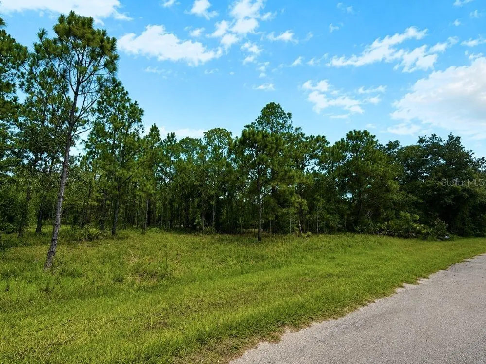 3250 PLUMOSA DRIVE Indian Lake Estates, FL 33855