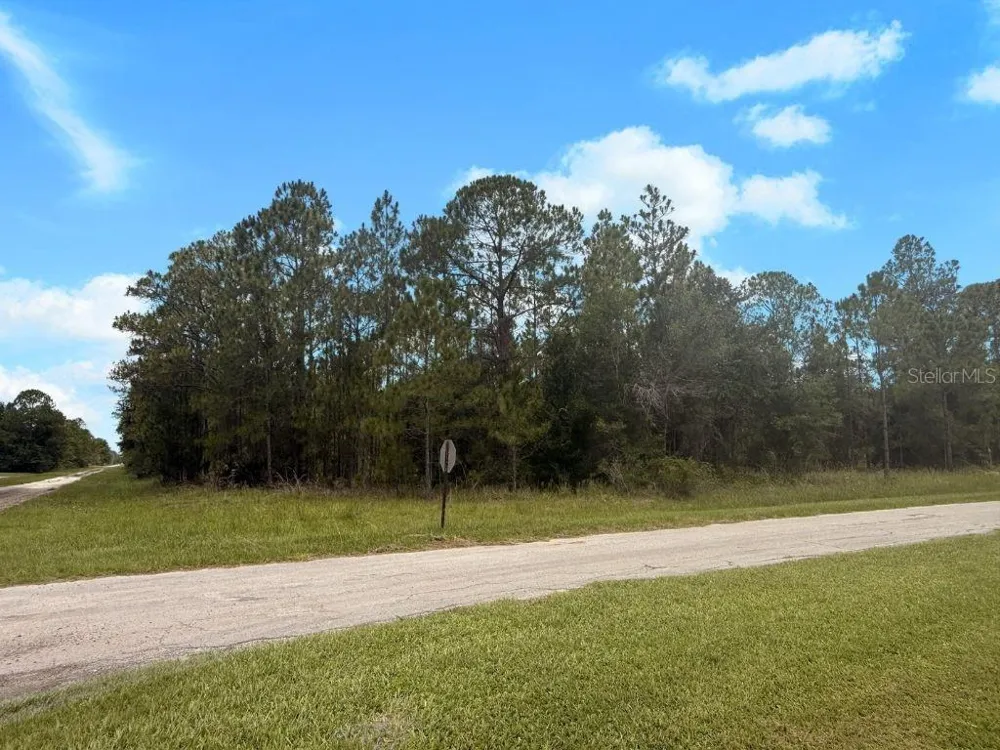 3250 PLUMOSA DRIVE Indian Lake Estates, FL 33855