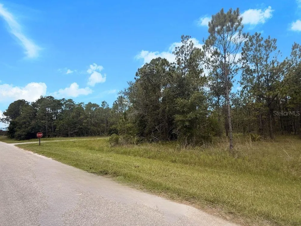 3250 PLUMOSA DRIVE Indian Lake Estates, FL 33855