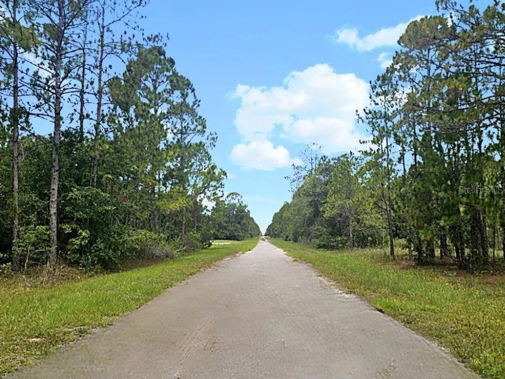 3250 PLUMOSA DRIVE Indian Lake Estates, FL 33855