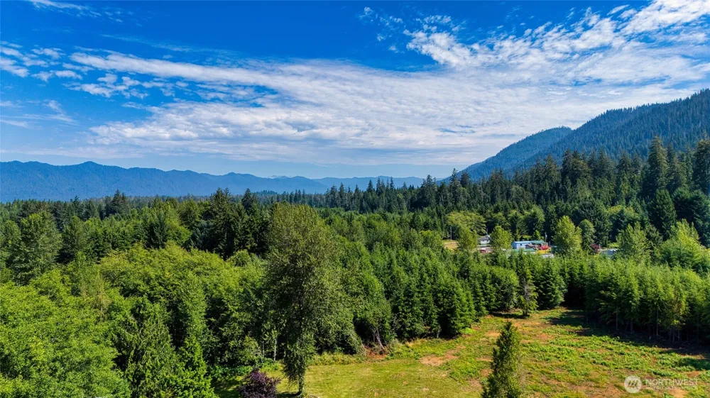 39 Neilton Lane Humptulips, WA 98552