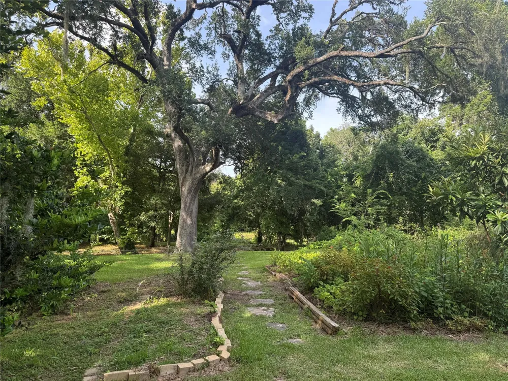 408 Oak Drive Lake Jackson, TX 77566