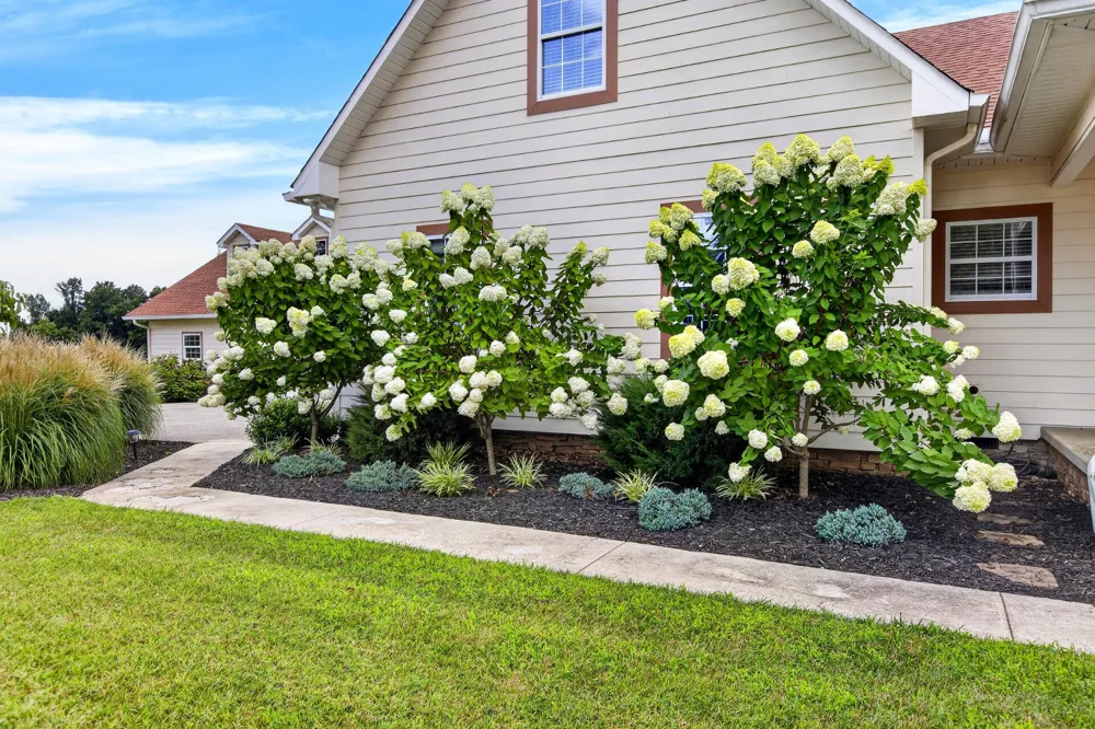209 Melrose Place Dayton, TN 37321