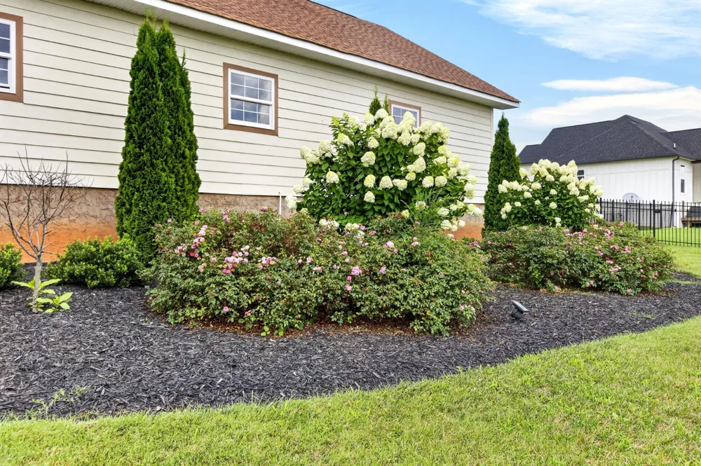 209 Melrose Place Dayton, TN 37321