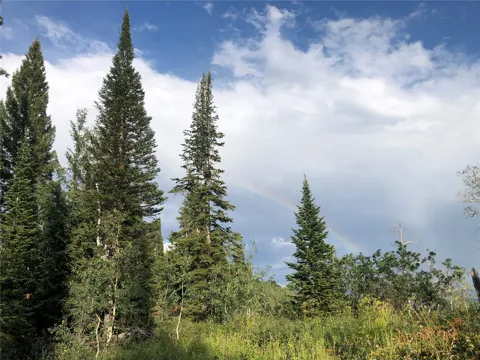 Beaver Canyon Drive