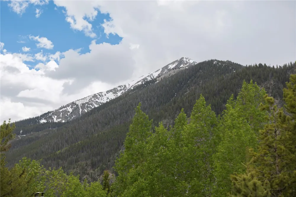 81 Hawn Drive #81 Frisco, CO 80443