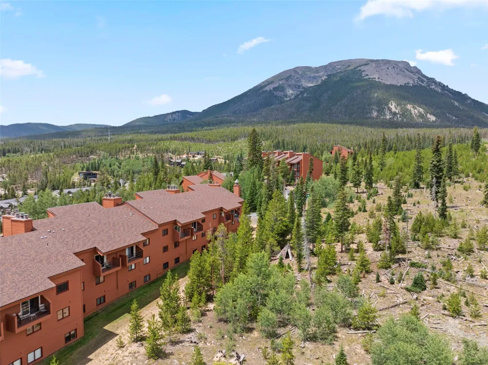 91300 Ryan Gulch Road #314 Silverthorne, CO 80498
