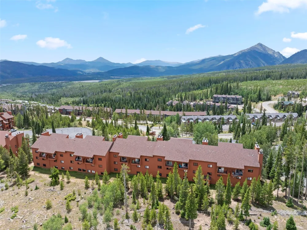 91300 Ryan Gulch Road #314 Silverthorne, CO 80498