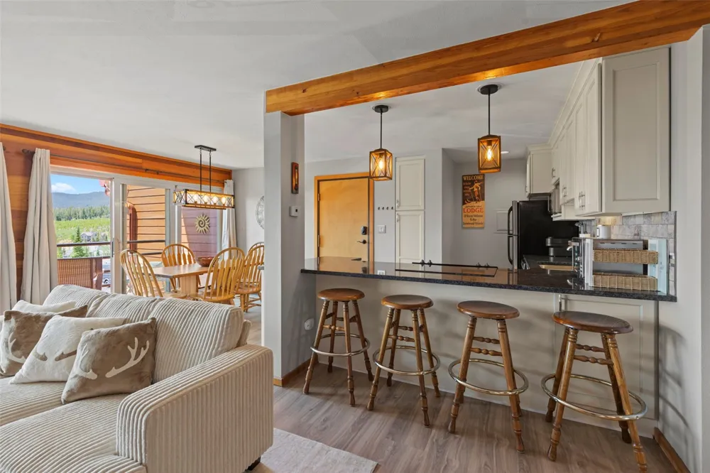 91300 Ryan Gulch Road #314 Silverthorne, CO 80498