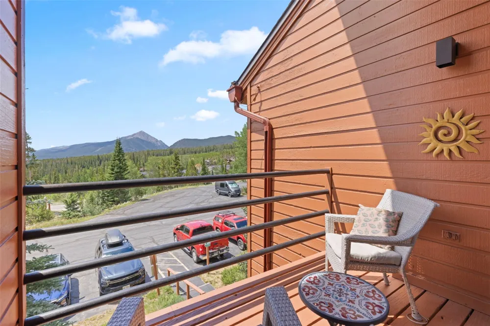 91300 Ryan Gulch Road #314 Silverthorne, CO 80498