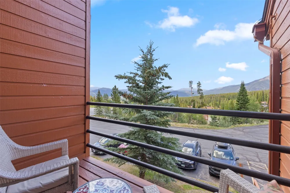 91300 Ryan Gulch Road #314 Silverthorne, CO 80498