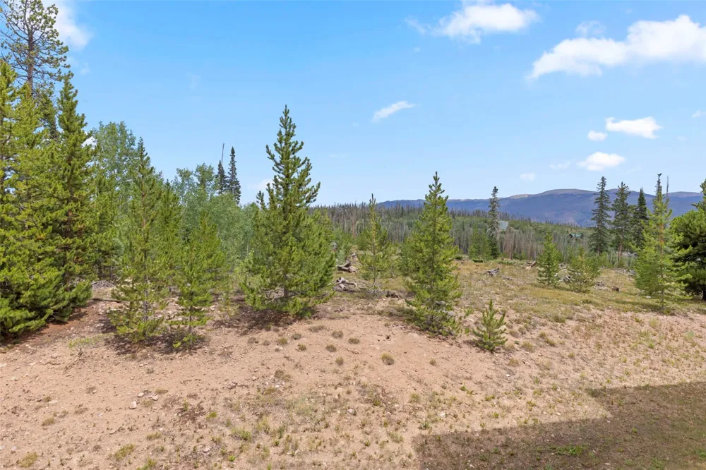 91300 Ryan Gulch Road #314 Silverthorne, CO 80498