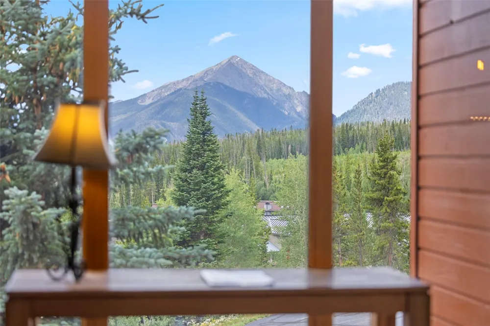 91300 Ryan Gulch Road #314 Silverthorne, CO 80498