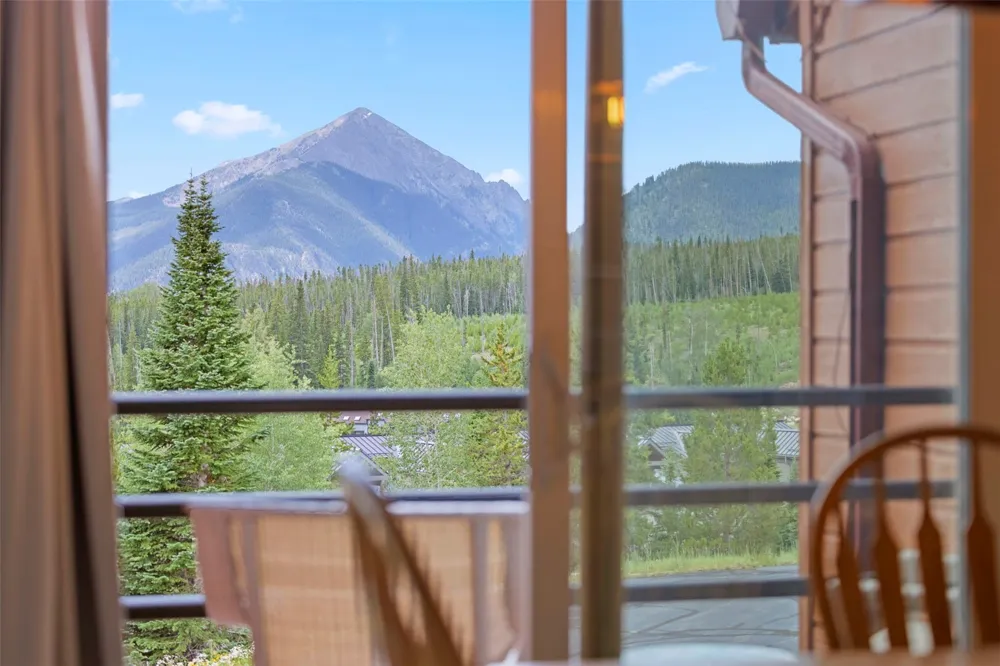 91300 Ryan Gulch Road #314 Silverthorne, CO 80498