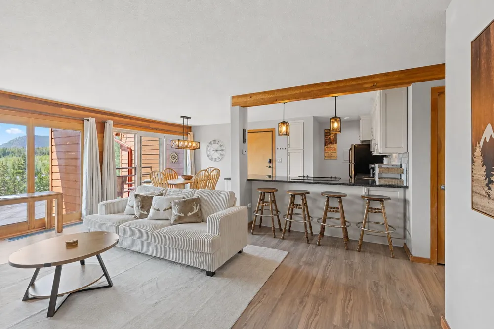 91300 Ryan Gulch Road #314 Silverthorne, CO 80498
