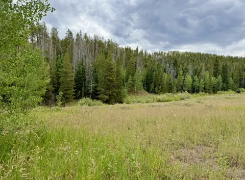 32514 Ute Trail