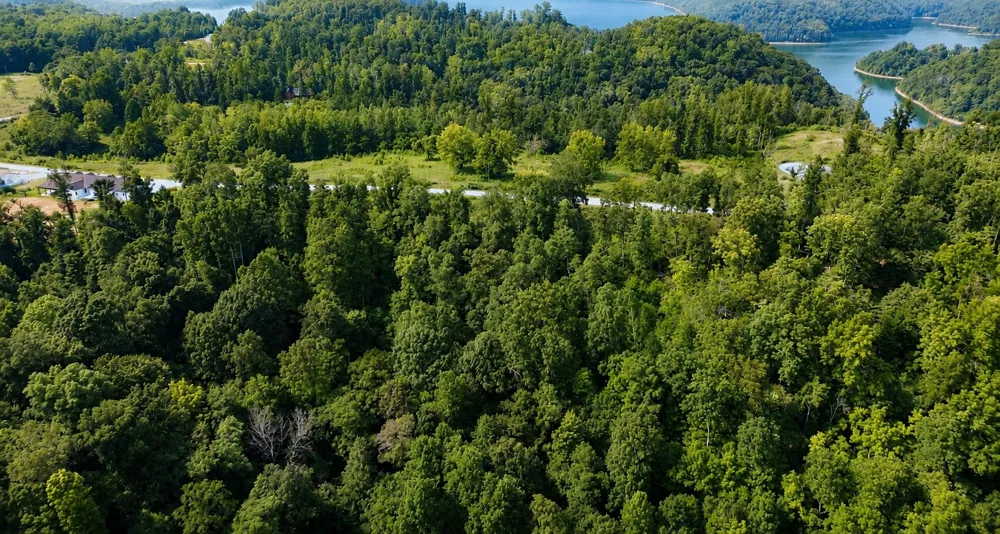 0 S Peninsula Edge Dr Smithville, TN 37166