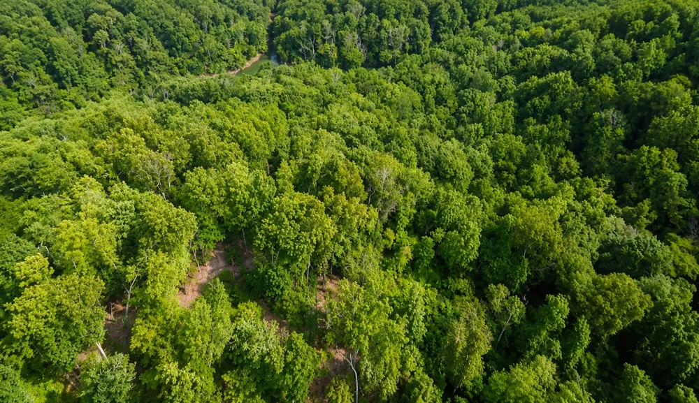 0 S Peninsula Edge Dr Smithville, TN 37166