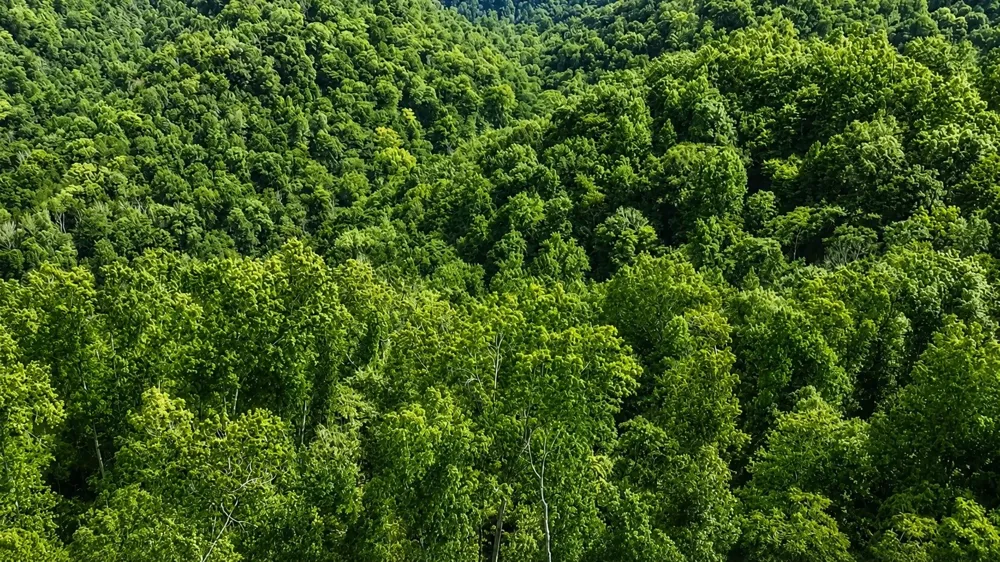 0 S Peninsula Edge Dr Smithville, TN 37166