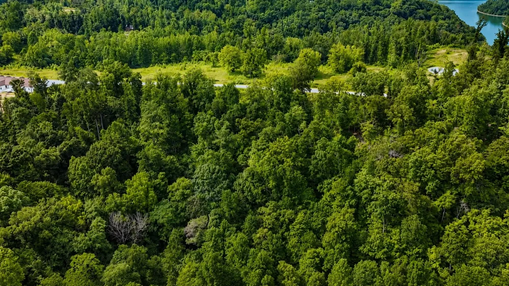 0 S Peninsula Edge Dr Smithville, TN 37166