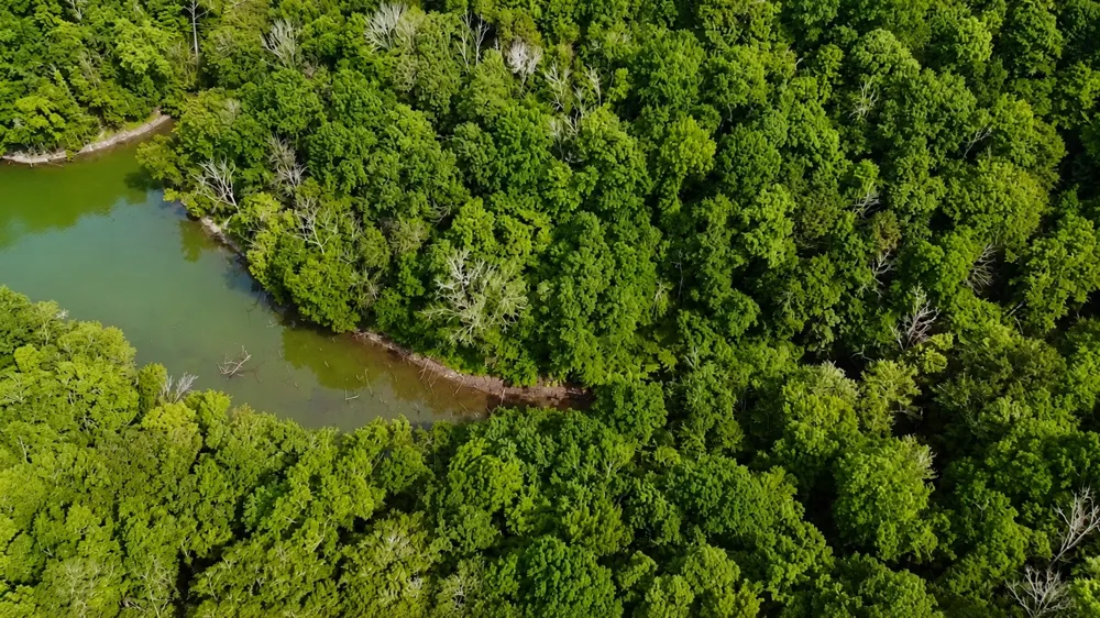 0 S Peninsula Edge Dr Smithville, TN 37166