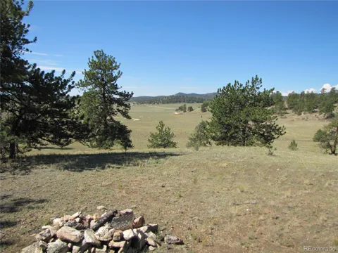 984 Arapahoe Trail
