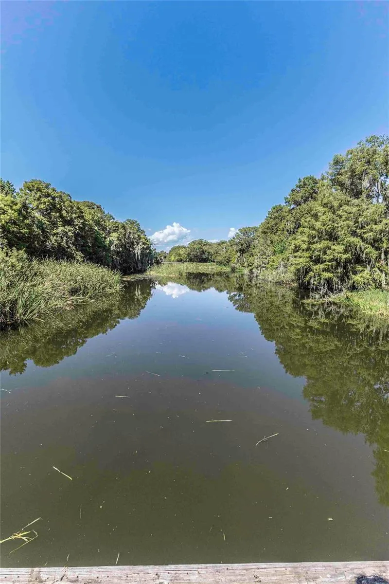 2886 C 470 Lake Panasoffkee, FL 33538