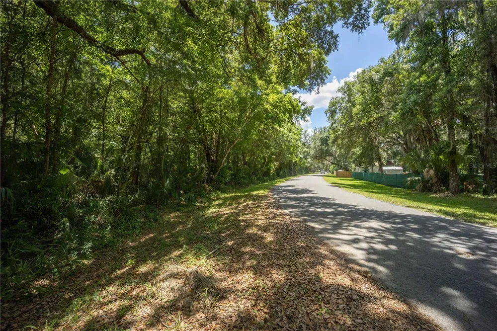 2886 C 470 Lake Panasoffkee, FL 33538