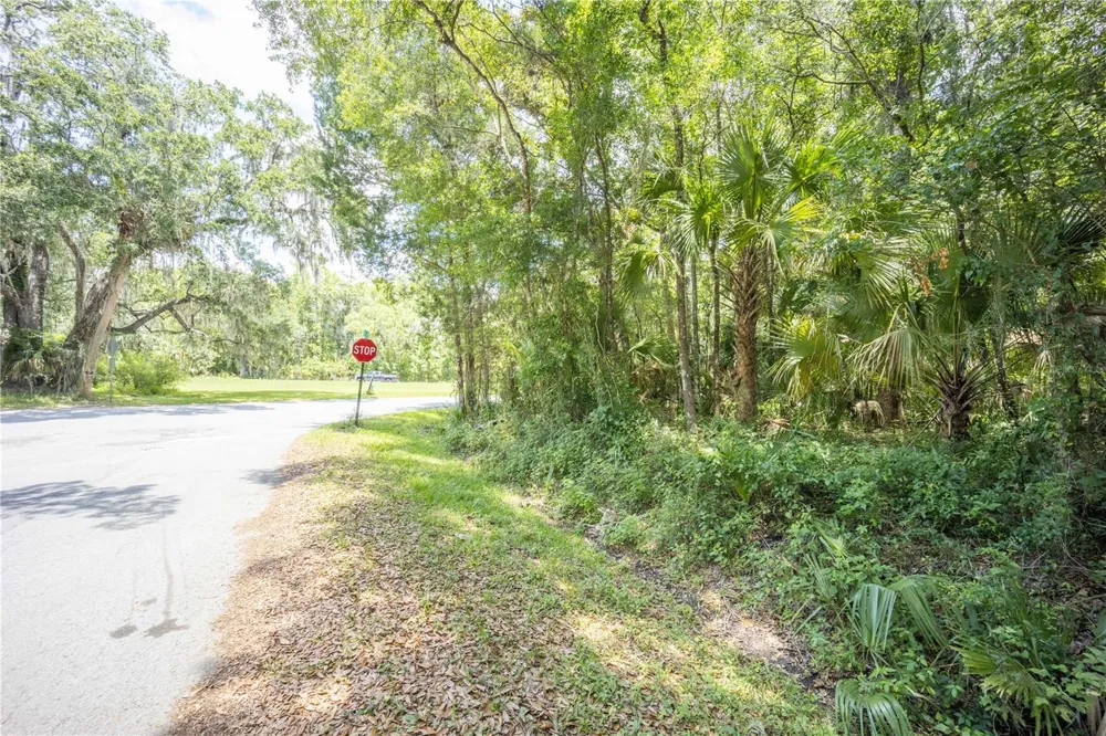 2886 C 470 Lake Panasoffkee, FL 33538