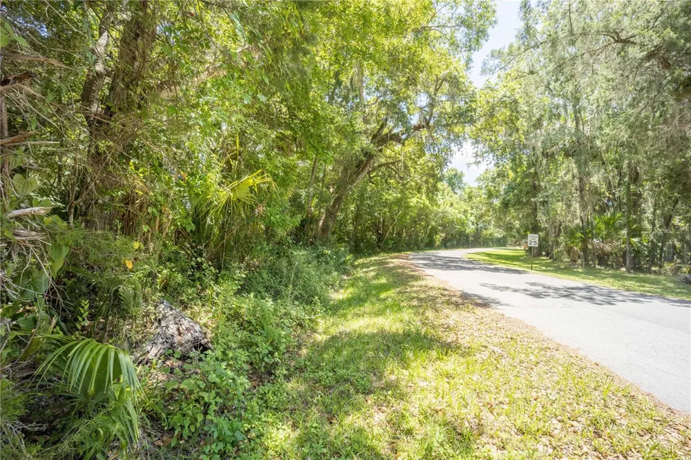 2886 C 470 Lake Panasoffkee, FL 33538