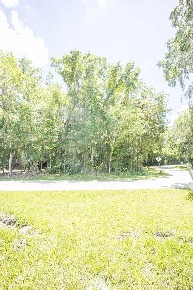 2886 C 470 Lake Panasoffkee, FL 33538