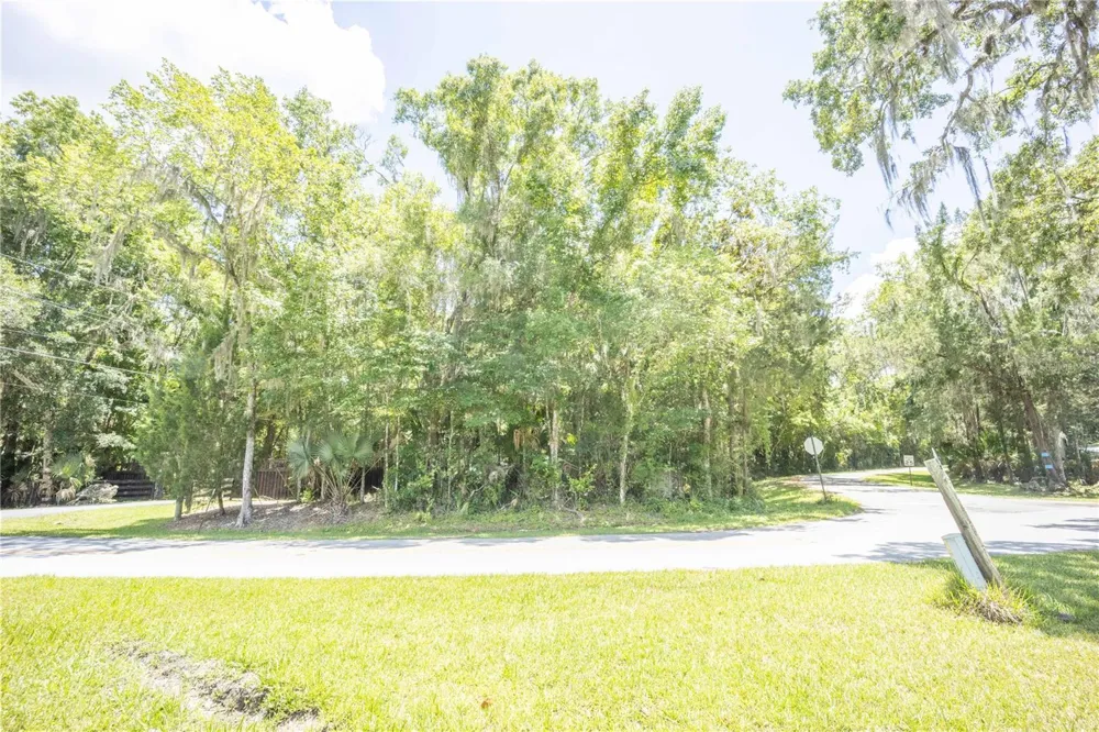 2886 C 470 Lake Panasoffkee, FL 33538