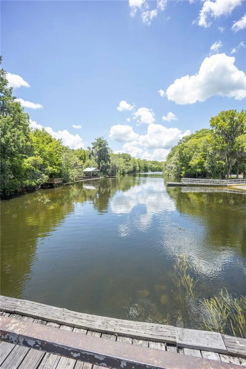 2886 C 470 Lake Panasoffkee, FL 33538