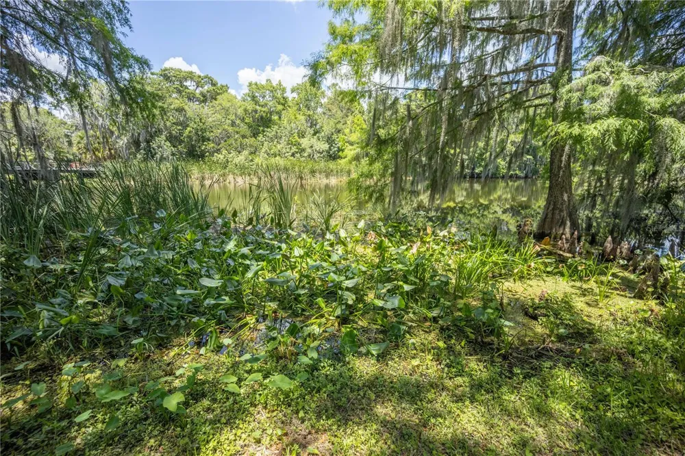 2886 C 470 Lake Panasoffkee, FL 33538