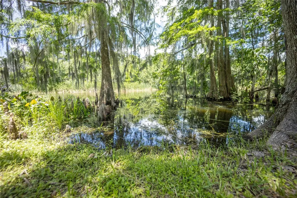 2886 C 470 Lake Panasoffkee, FL 33538